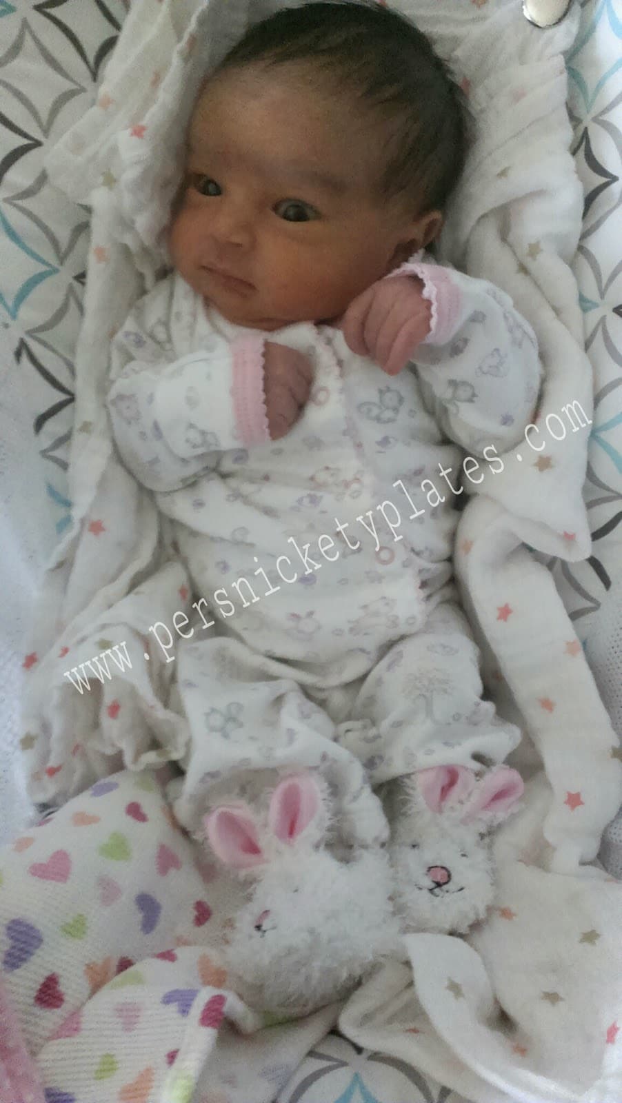 Persnickety Pregnancy: She's Here!! Persnickety Pregnancy: She's Here!!