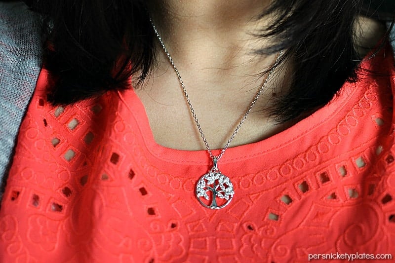 A layer of cake, a layer of raspberries and cream cheese, and a crumb topping come together perfectly in this Raspberry Cream Cheese Coffee Cake. Perfect for Mother's Day! | Persnickety Plates