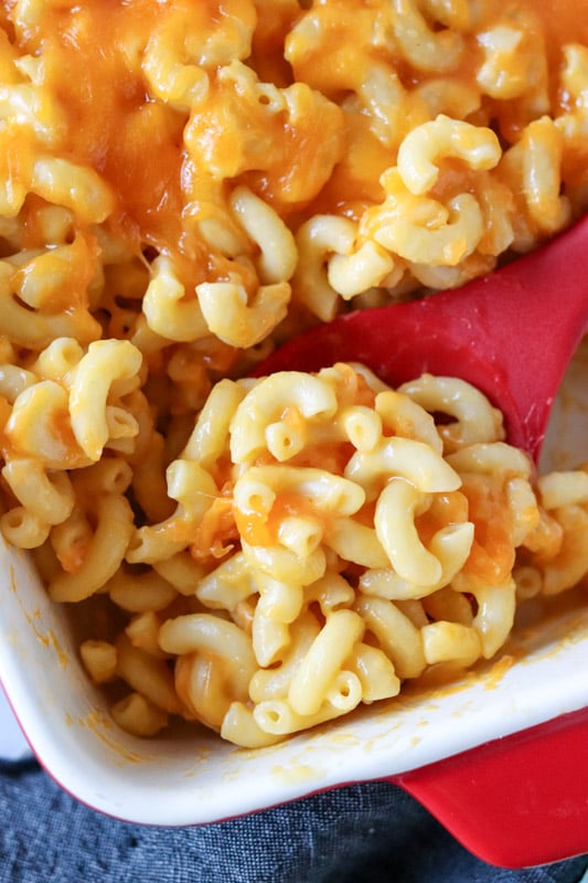spoonful of macaroni in a casserole dish