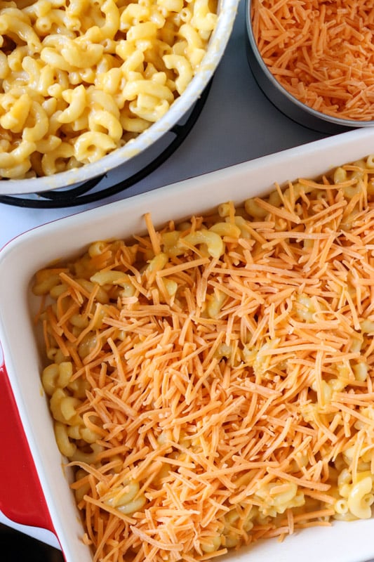 layer of cheese and noodles in a casserole dish