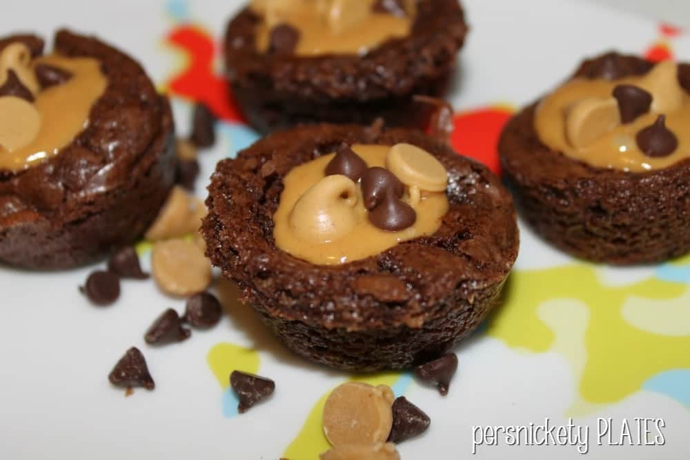 peanut butter brownie bites sprinkled with chocolate chips