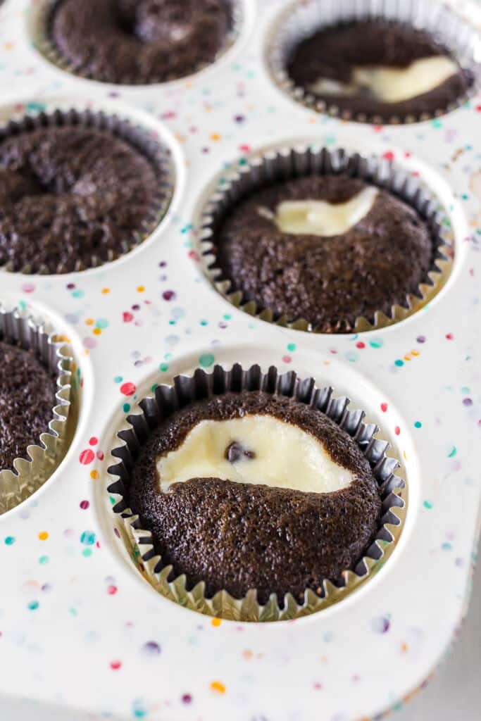 A cupcake tray of freshly baked chocolate cupcakes with creamy cheesecake filling peeking through the tops.