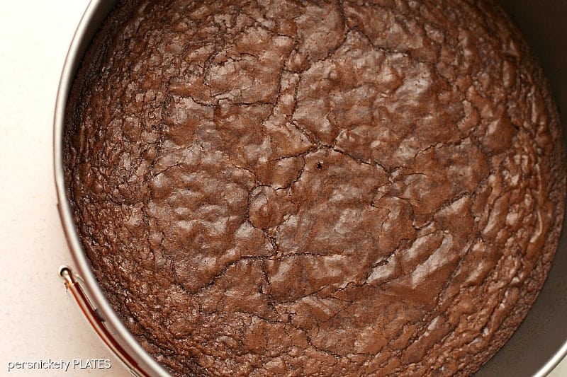 Brownie Bottom Peanut Butter Cheesecake has a layer of chewy brownie topped with a creamy peanut butter cheesecake and drizzled with rich chocolate. | www.persnicketyplates.com #cheesecake #peanutbutter #brownie #dessert