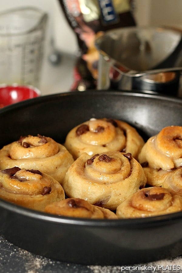 Chocolate Chip Cinnamon Rolls in baking dish Chocolate Chip Cinnamon Rolls will be your new best brunch idea! These simple cinnamon rolls take less than 10 minutes to prep and seconds to eat! | ww.persnicketyplates.com