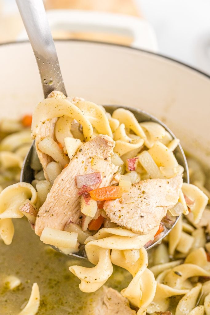 full ladle lifting from a pot of chicken noodle soup