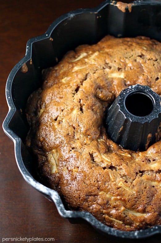 overhead shot of apple cinnamon bundt cake still in bundt pan overhead shot of bundt cake in pan