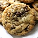 single chocolate chip cookie