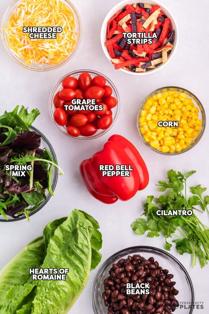 overhead shot of labeled vegetables laid out to make salad.