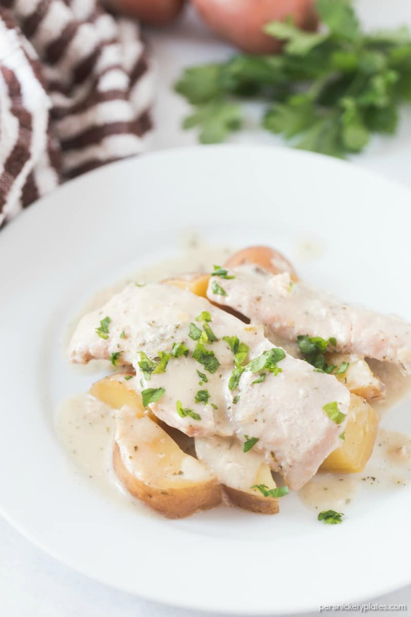 Slow Cooker Creamy Ranch Pork Chops & Potatoes – six ingredients and a full meal right in your slow cooker! | www.persnicketyplates.com #slowcooker #crockpot #dinner #easyrecipe #comfortfood #porkchops ranch pork chops on white plate with parsley garnish
