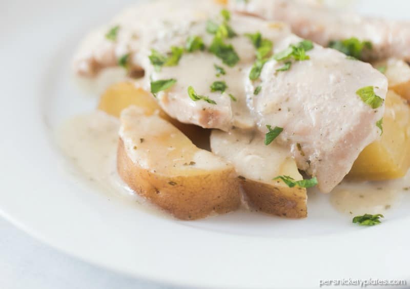 Slow Cooker Creamy Ranch Pork Chops & Potatoes – six ingredients and a full meal right in your slow cooker! | www.persnicketyplates.com #slowcooker #crockpot #dinner #easyrecipe #comfortfood #porkchops close up of ranch pork chops