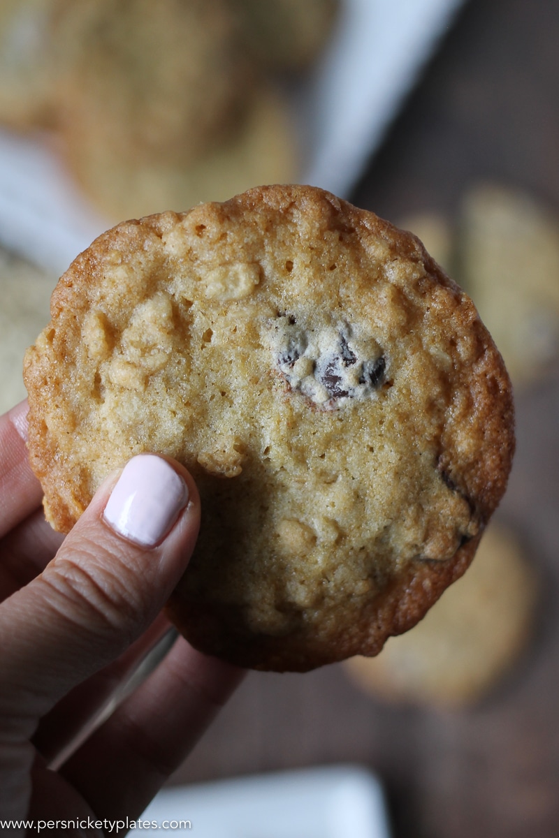 close up of hand holding a ranger cookie.