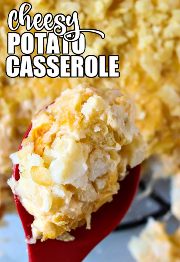 spoon full of cheesy potato casserole