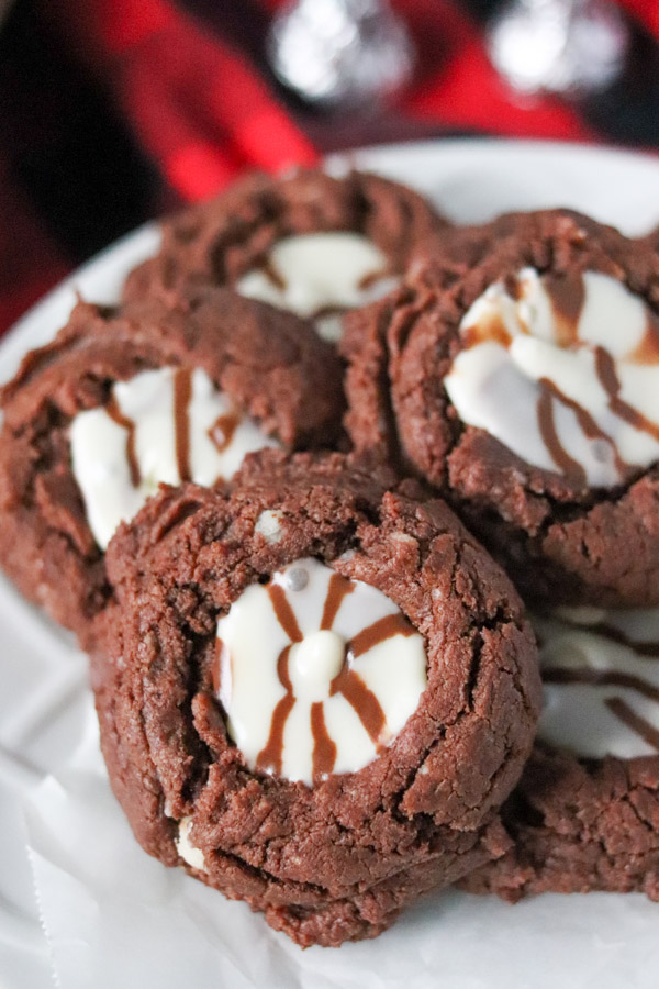 white plate of fiesta fudge cookies
