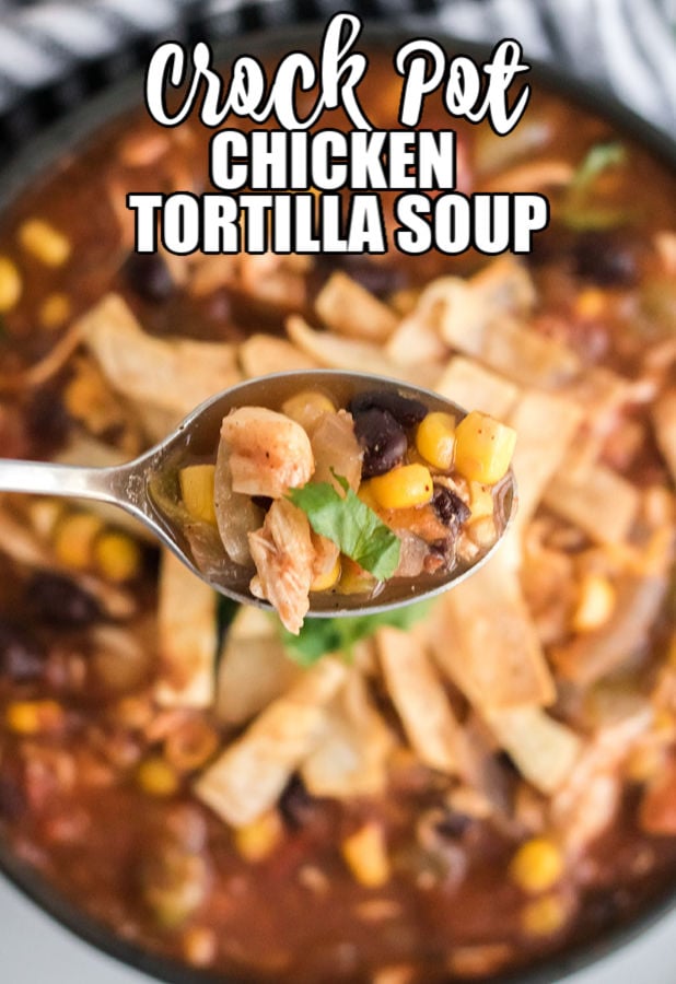 spoonful of chicken tortilla soup with title text