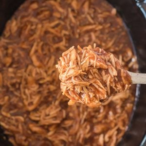 shredded bbq chicken on a spoon