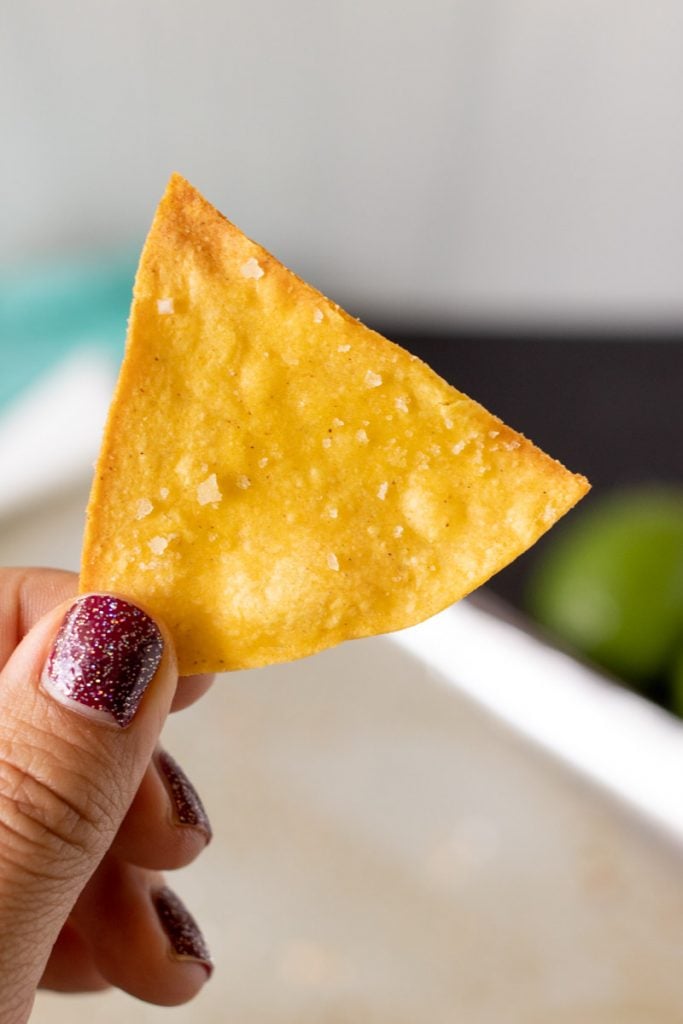 hand holding a tortilla chip