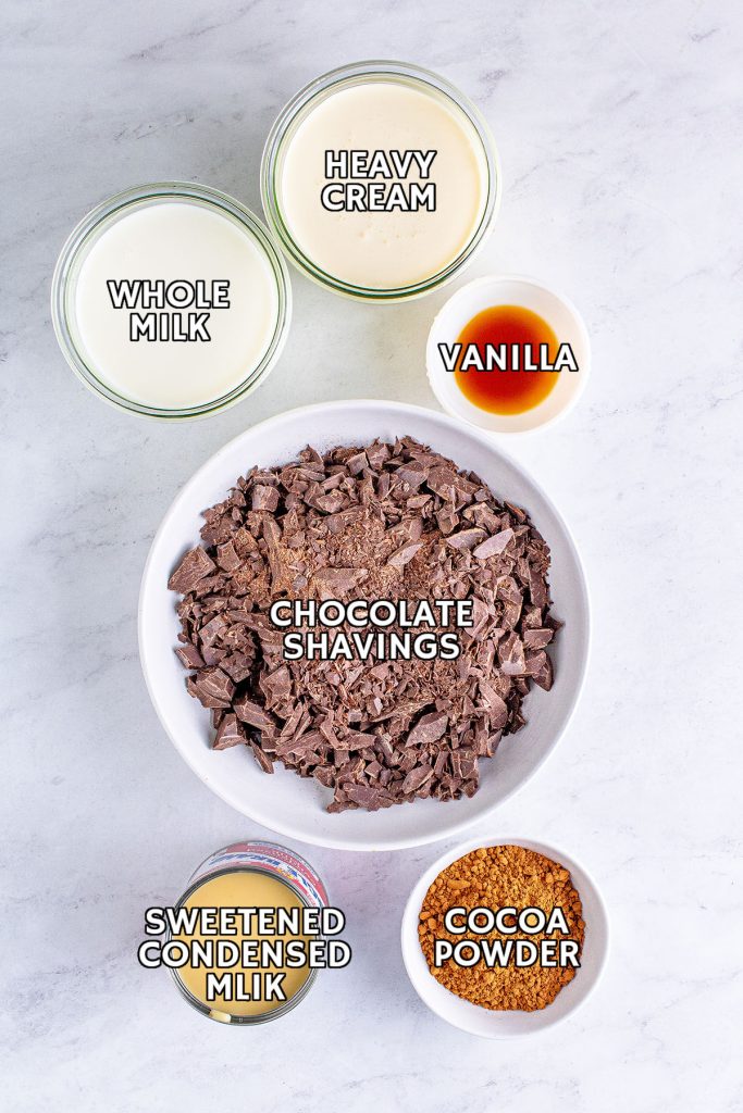 overhead shot of ingredients laid out to make slow cooker hot chocolate from scratch