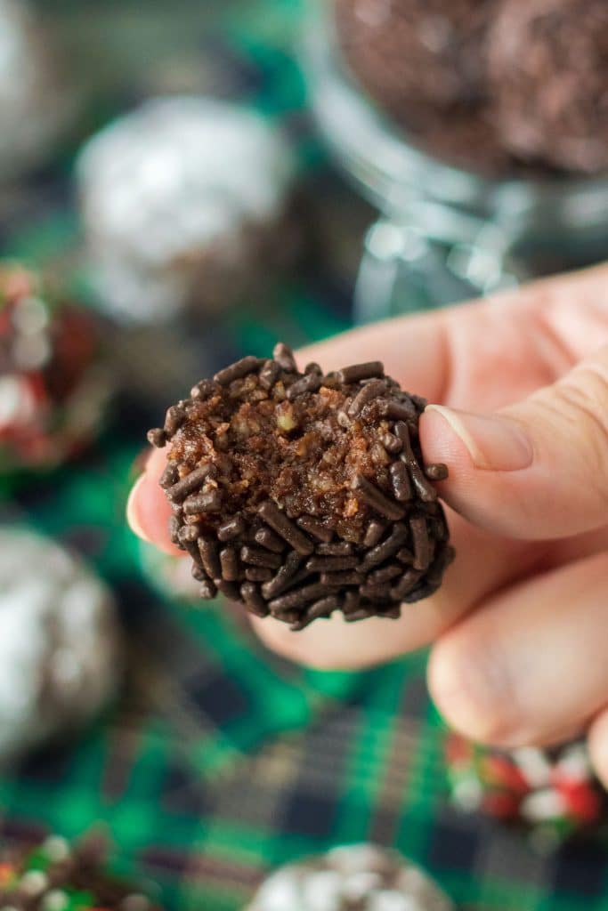 hand holding a chocolate rum ball with a bite taken out.