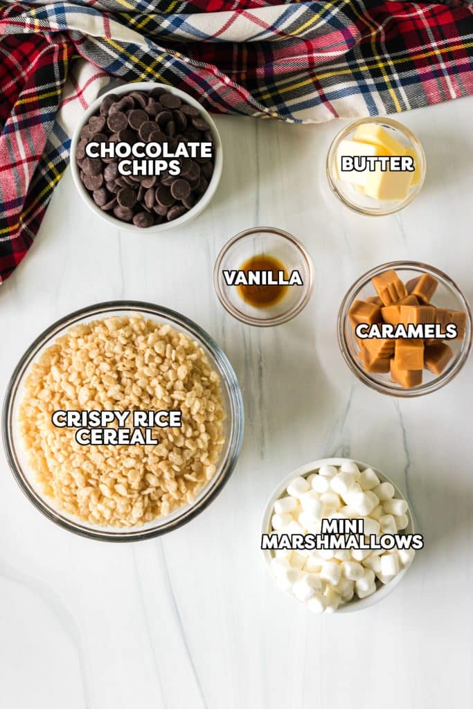 overhead shot of labeled ingredients to make reindeer poop cookies.