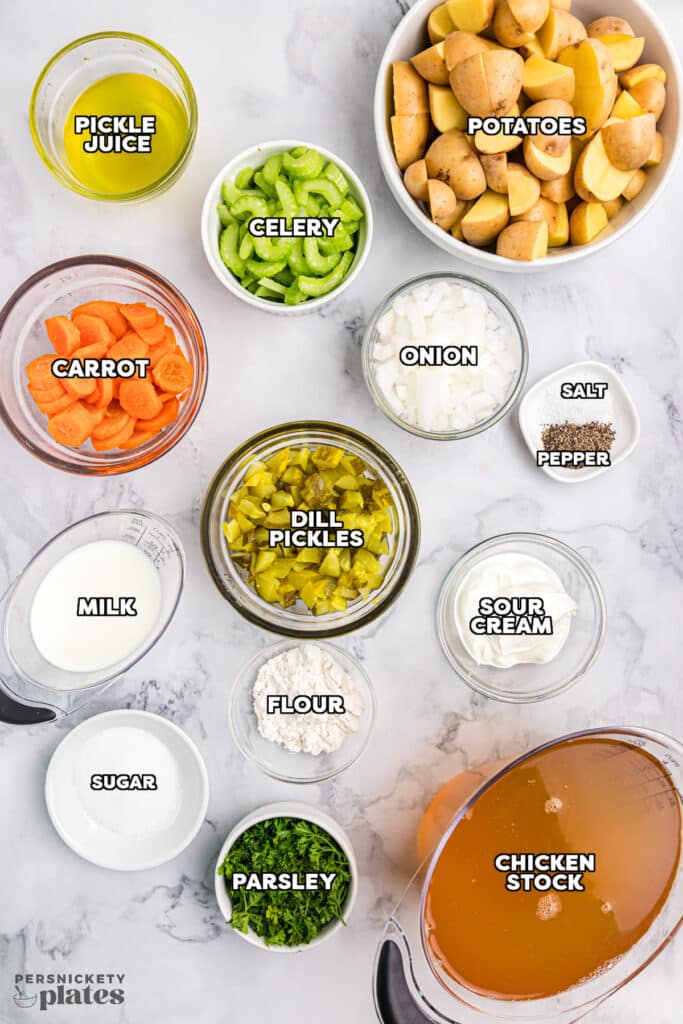 overhead shot of labeled ingredients laid out to make dill pickle soup.