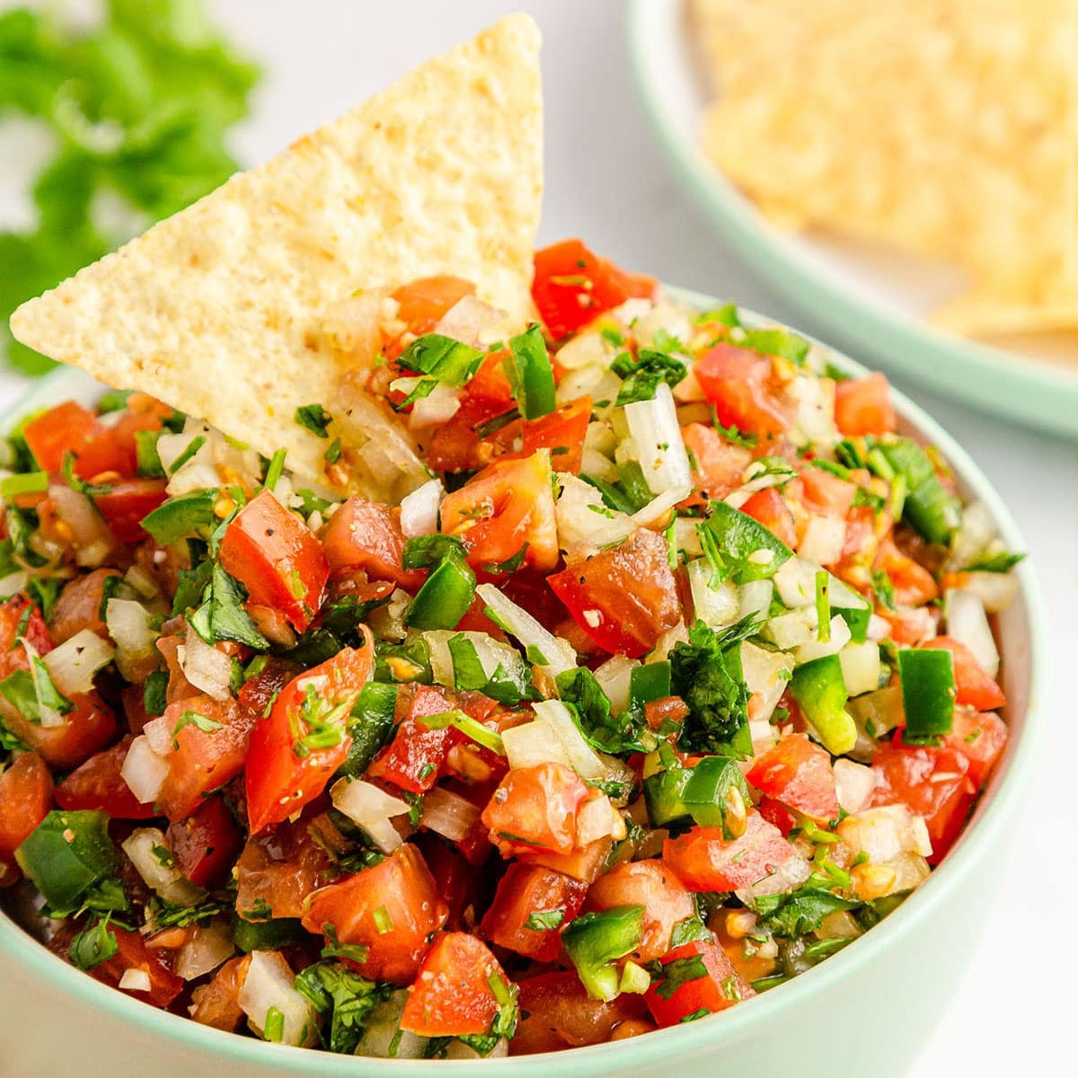 bowl of homemade pico de gallo with a tortilla chip stuck into it.