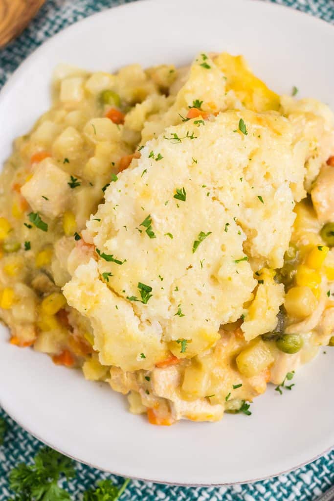 overhead shot of chicken cobbler on a white plate.