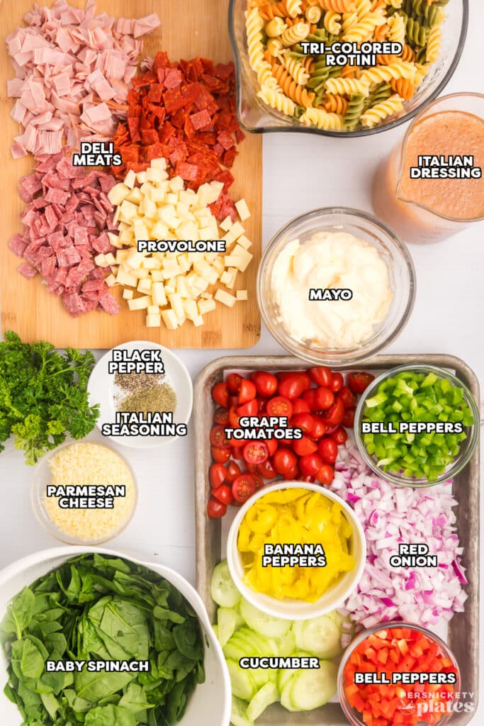 overhead shot of labeled ingredients laid out to make a hoagie salad.