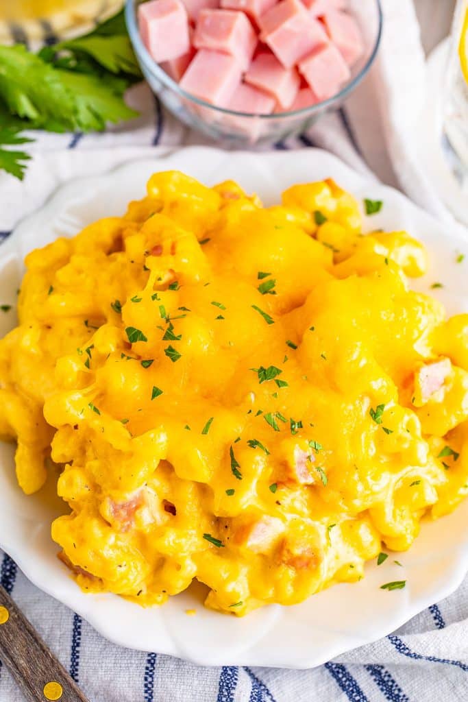 overhead shot of mac and cheese with ham on a white plate.