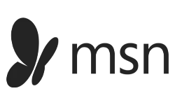 msn logo.