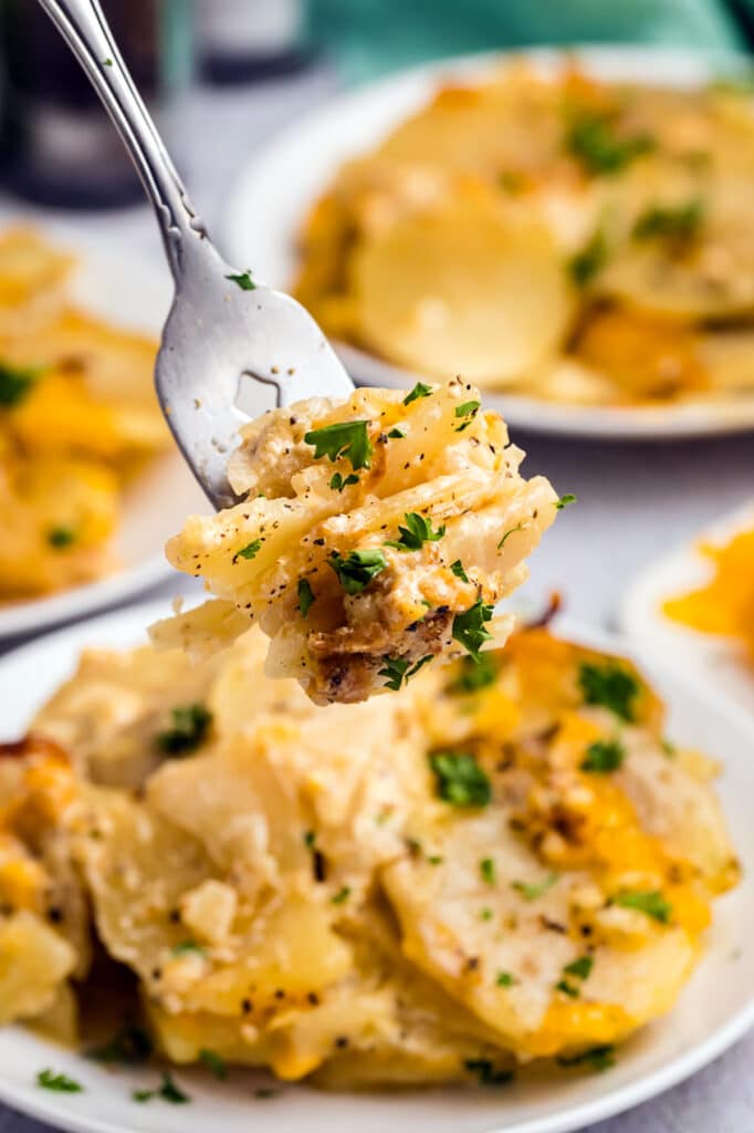 A fork holding a bite of creamy scalloped potatoes.