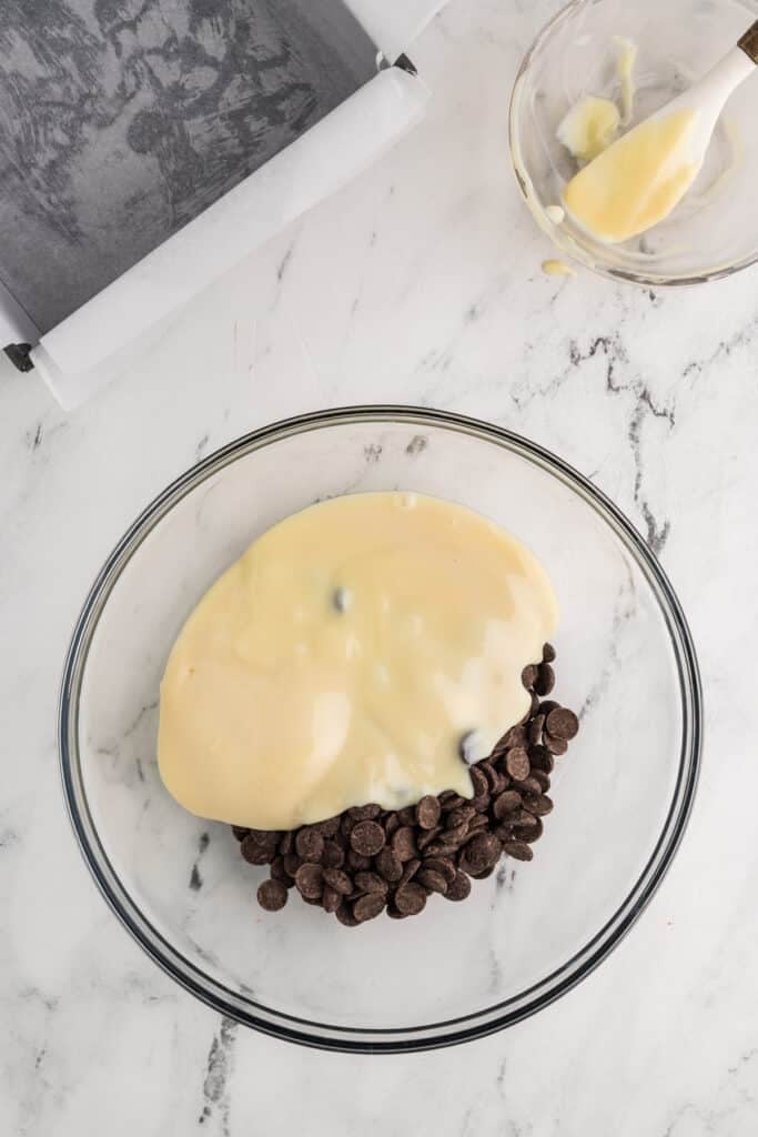 Bowl with chocolate chips and condensed milk.