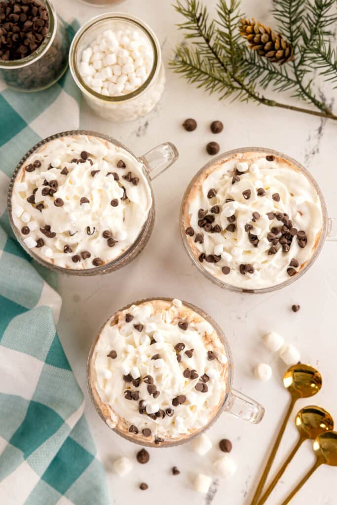 A decorative layout showcasing three glass mugs of hot chocolate with whipped cream, mini marshmallows, and chocolate chips. The mugs sit on a white surface, surrounded by scattered marshmallows, chocolate chips, and a teal checkered cloth.