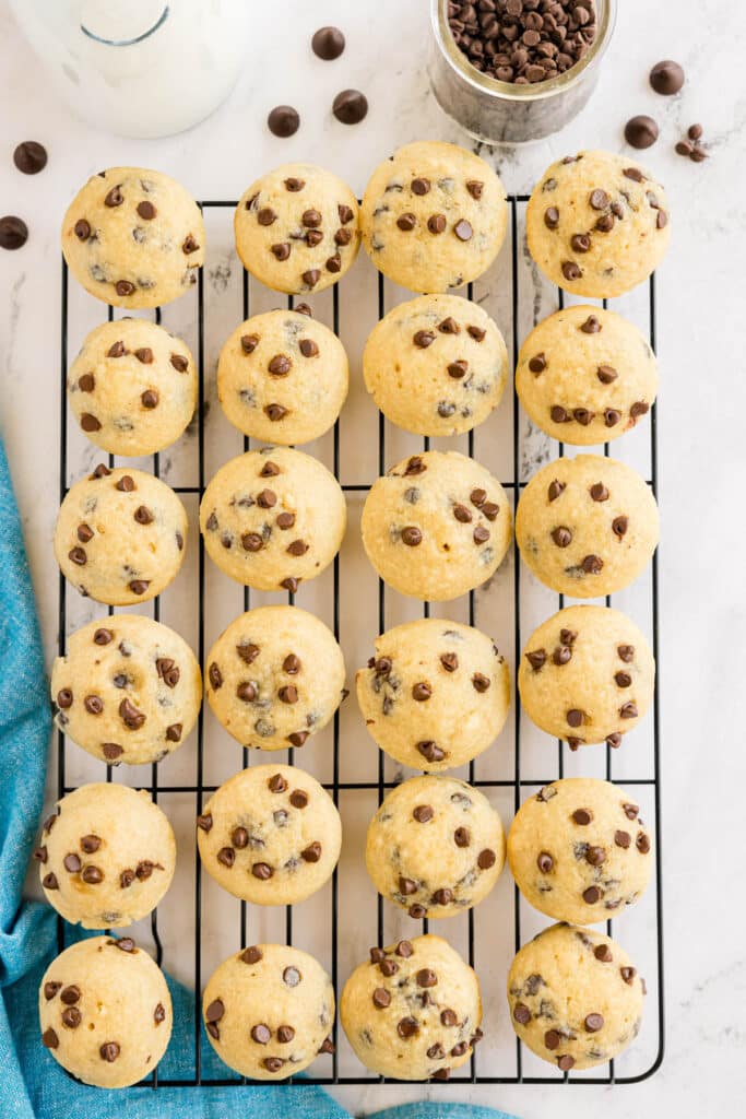 overhead shot of chocolate chip mini muffins on a cooling rack.