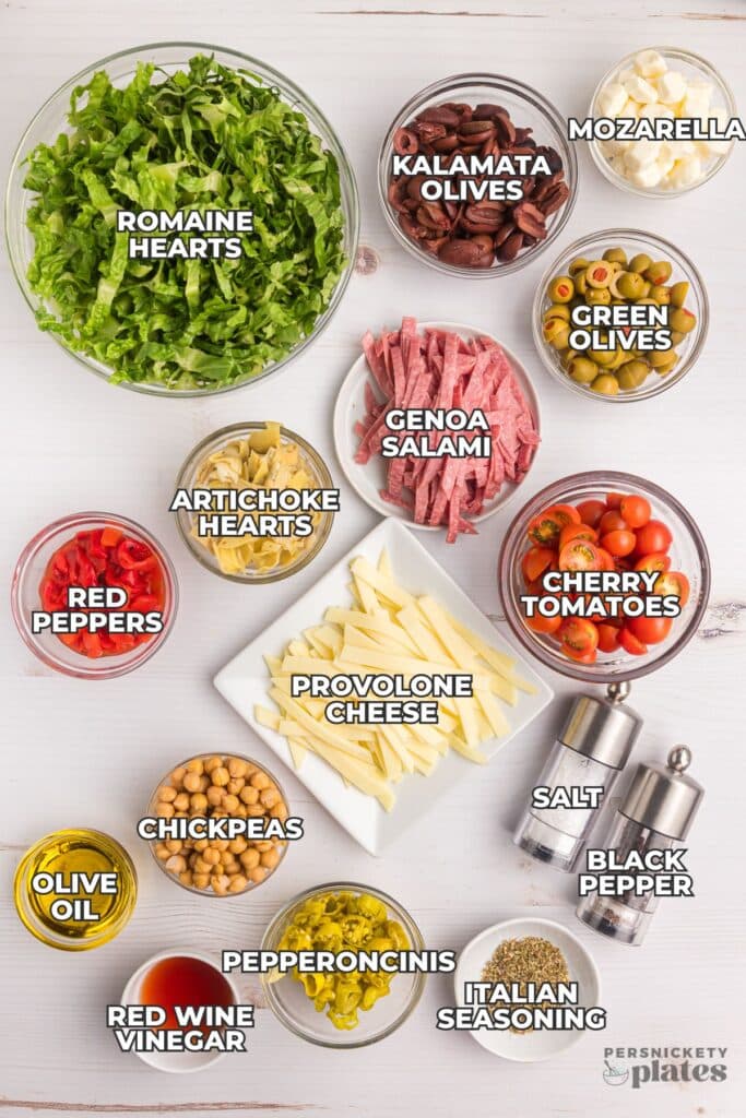 Flat lay of antipasto salad ingredients labeled in bowls and plates.