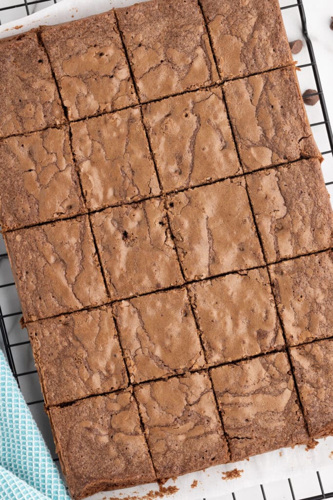 Pan of brownies cut into even squares on a cooling rack.